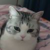 smile138196