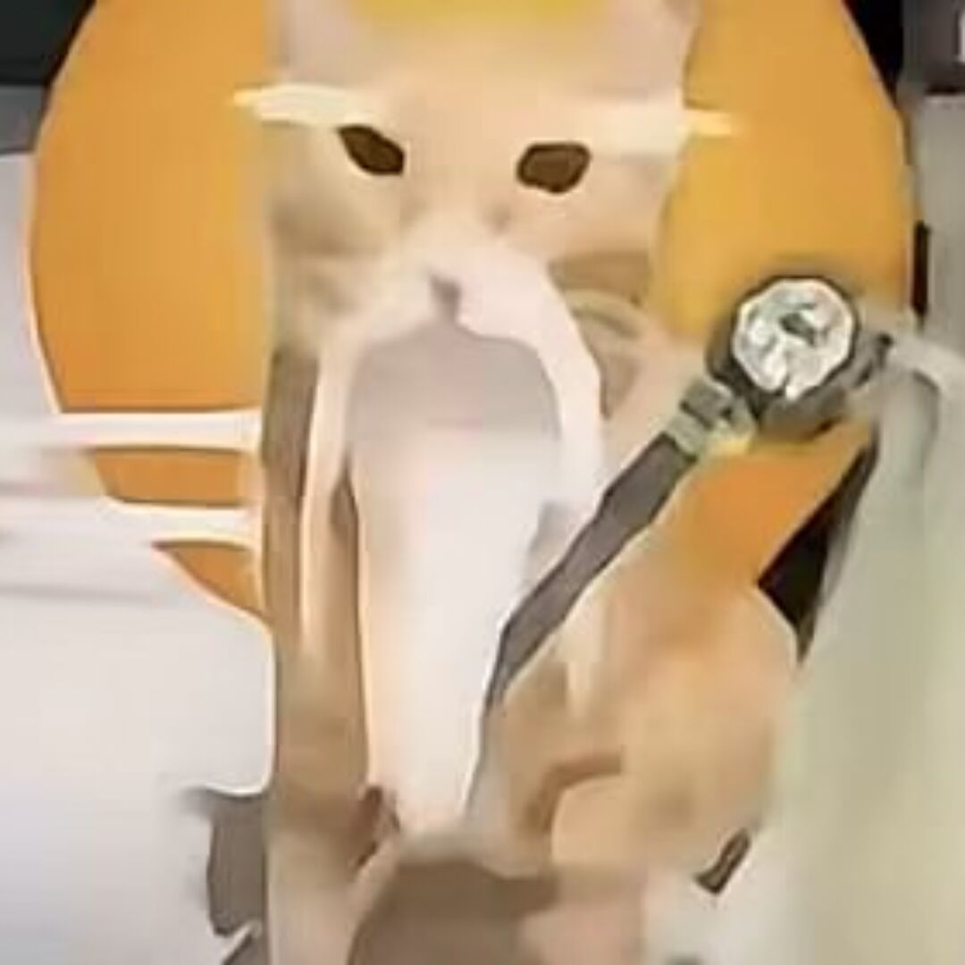 哈基仙