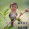 马林的头像-魔酷网