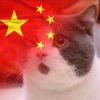 铠润的头像-七玩网资源站