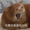 富婆饿饿软饭