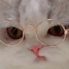 ☞我☜