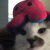 ColdCa_123