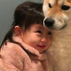 a07310511，作者毕方资源网-毕方资源网