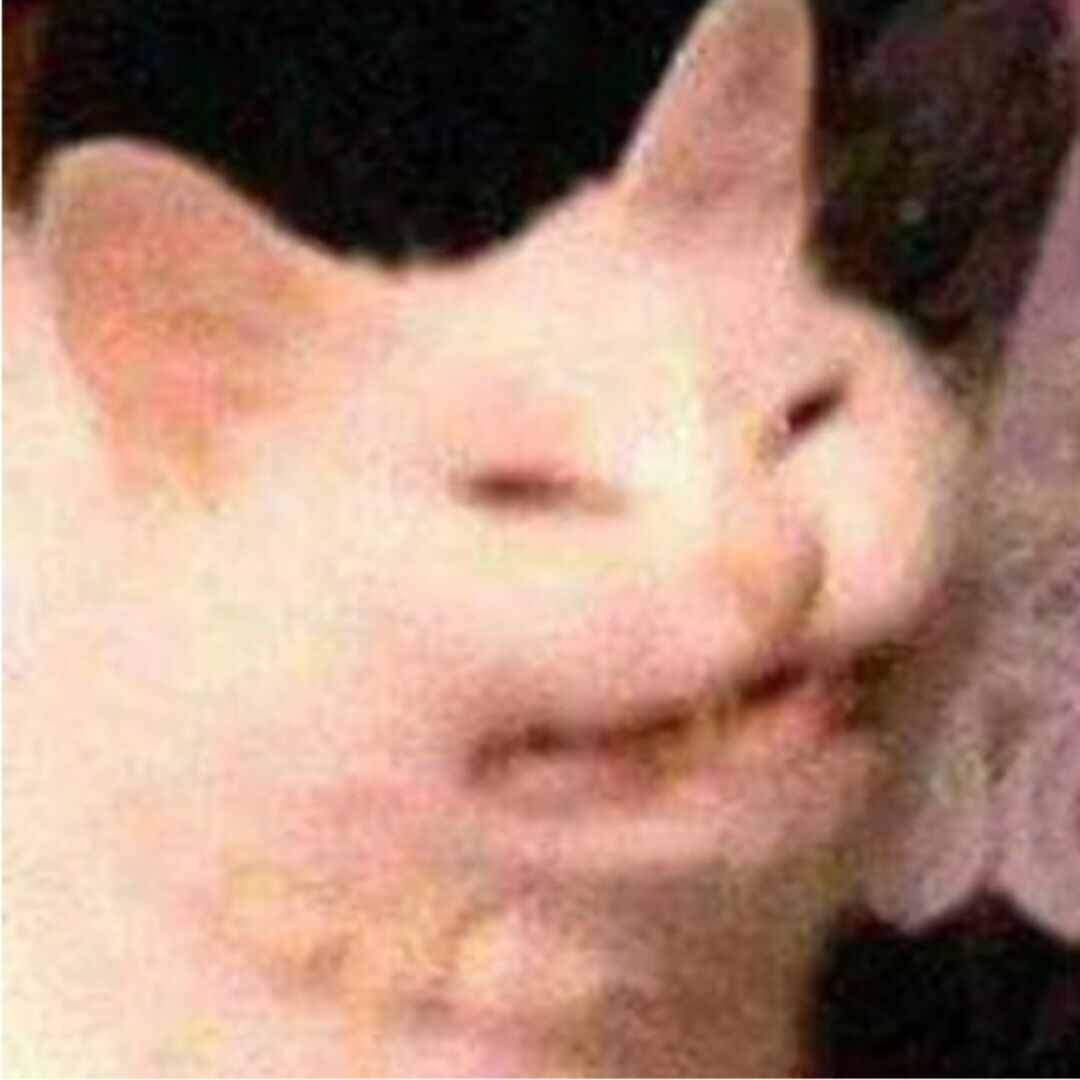 朱宸霂