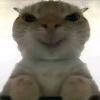 牢孟