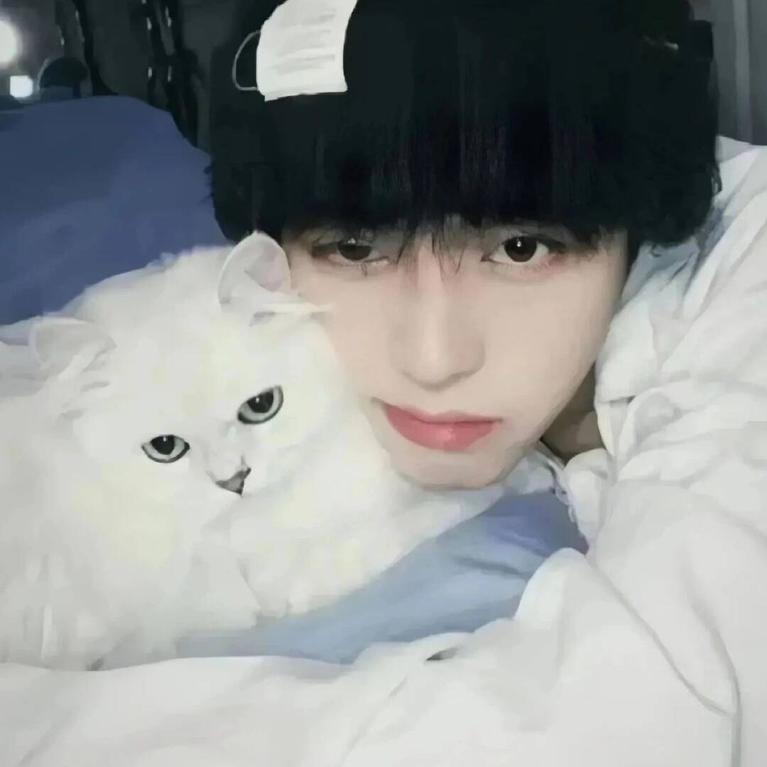 情宝