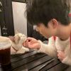 无敌迷你世界