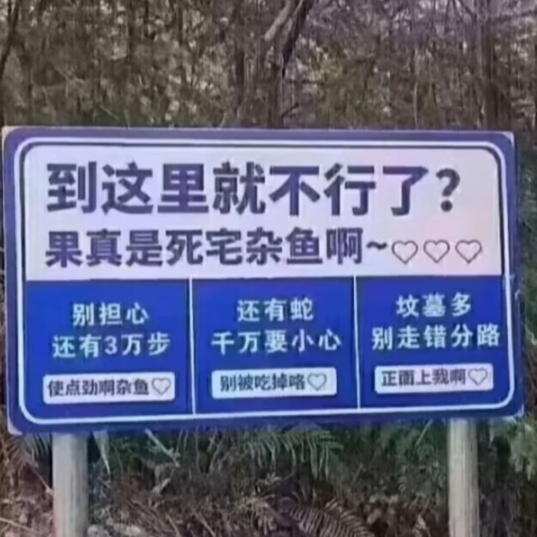 哦~_386