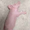 丶糸