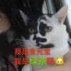 瓦龙