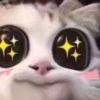 钟爱