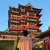 你如晚风来去自如丶的头像-iPA资源站