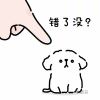 月亮炒蛋