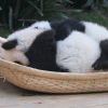 給吥了の詠遠的头像-七玩网