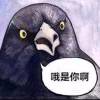 繁星与海