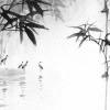 稷下白丁