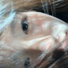小胖优品的头像-iPA资源站