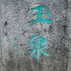 不帥但很壞的头像-iPA资源站