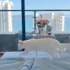用户28048673的头像-iPA资源站