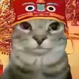 新年小猫