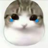 丢了妙脆角的OMG小猫