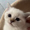 张_480