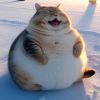 MiaoYC