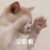 大飞ZoZ