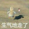 宛如黑驹过隙的头像-七玩网