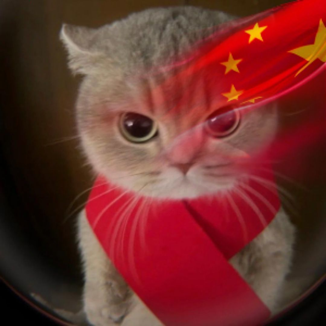 糖炒栗子.