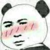 光头强的头像-苏晨博客