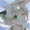 无云
