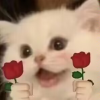 🍅
