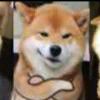 喵~~~~