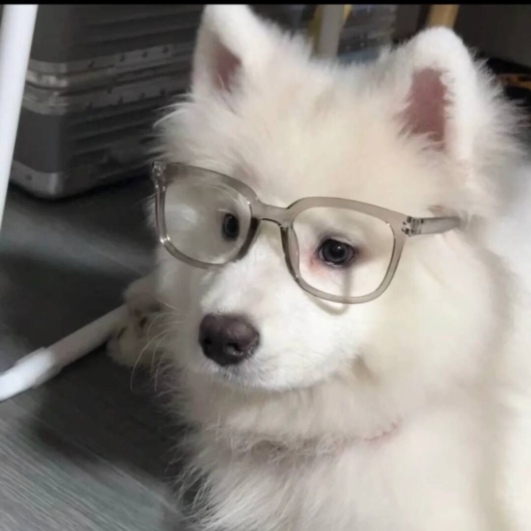 13180377
