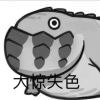 。_909