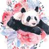 昆山之玉