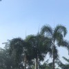 teemo的头像-七玩网