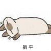 花花花花海。