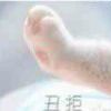 随风飞翔