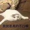 Tong_506