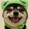 只