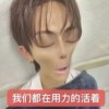 不吃饭不就饿死了的头像-iPA资源站