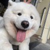 user79323155的头像-iPA资源站