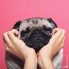 user49378199的头像-iPA资源站