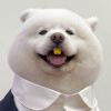 (^ω^)流