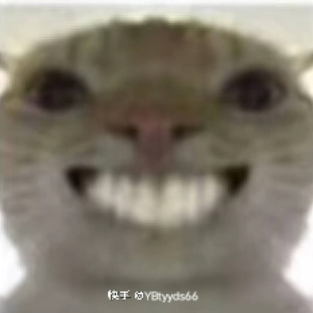 老实人_168