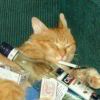 未聞舊人名