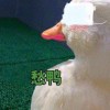锅巴